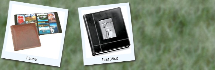 Image map