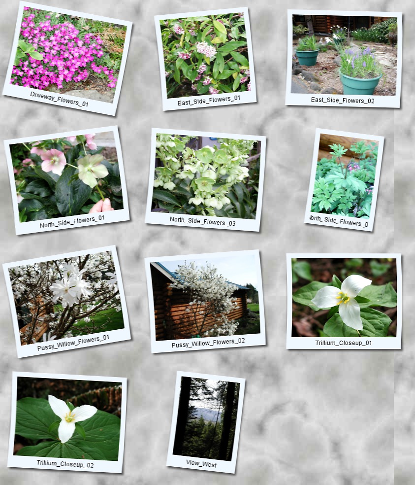 Image map